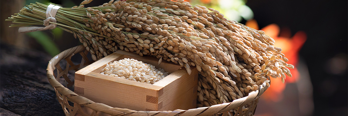 北海道蘭越のお米を使ったブレンド米