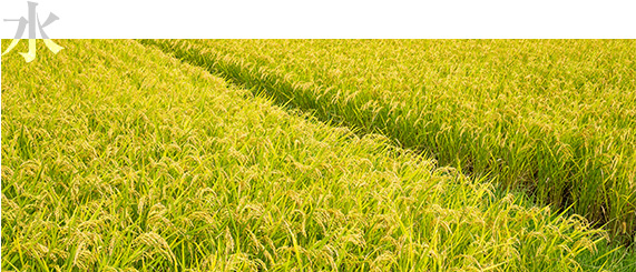 北海道の自然の恵み