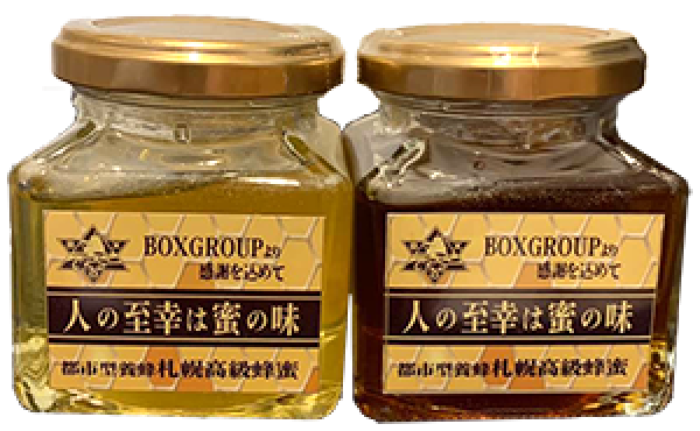 ボックスグループの最新情報