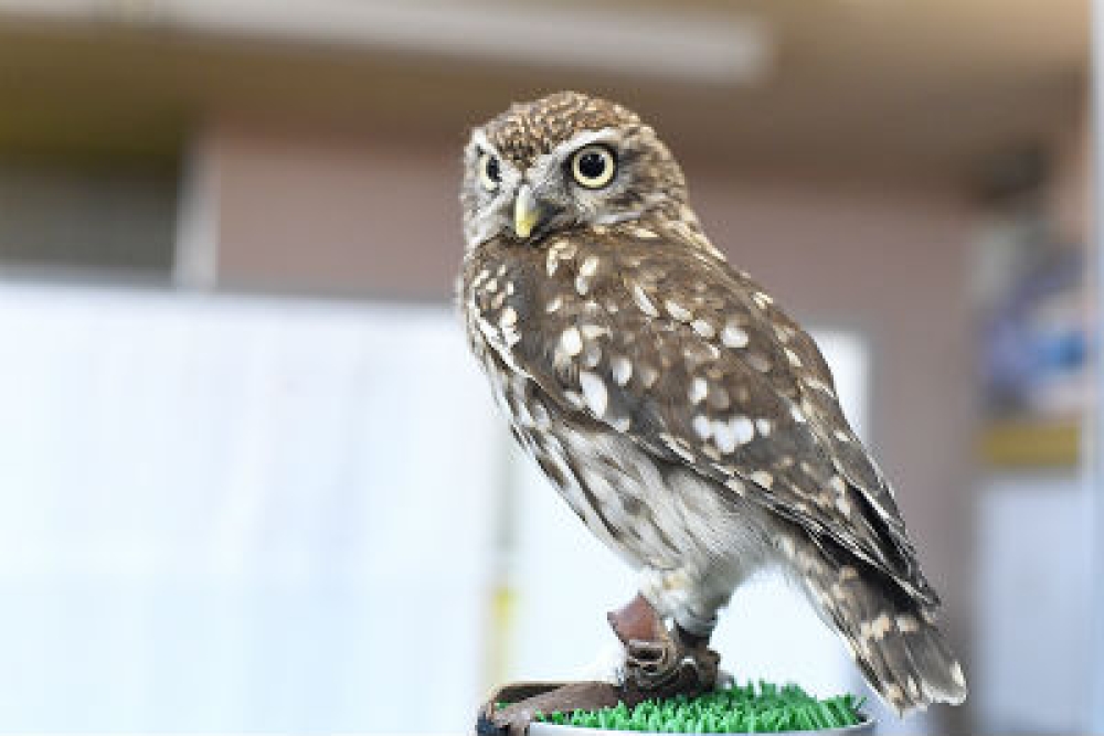 ボックスグループの最新情報